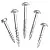 Фото Шурупы с мелким шагом 1-1/2" , Pan-Head, 100 шт в интернет-магазине ToolHaus.ru