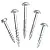 Фото Шурупы с мелким шагом 1-1/4" , Pan-Head, 100 шт в интернет-магазине ToolHaus.ru