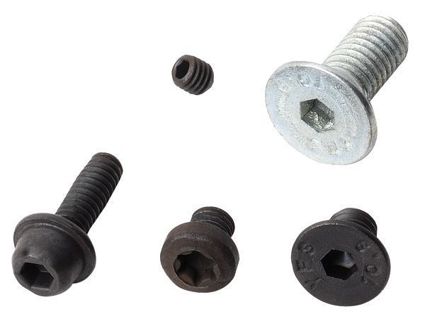 Фото Винт TORX M4x6 без индивидуальной упаковки в интернет-магазине ToolHaus.ru
