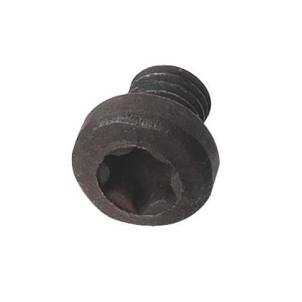 Фото Винт TORX M3,5x3,5 в интернет-магазине ToolHaus.ru